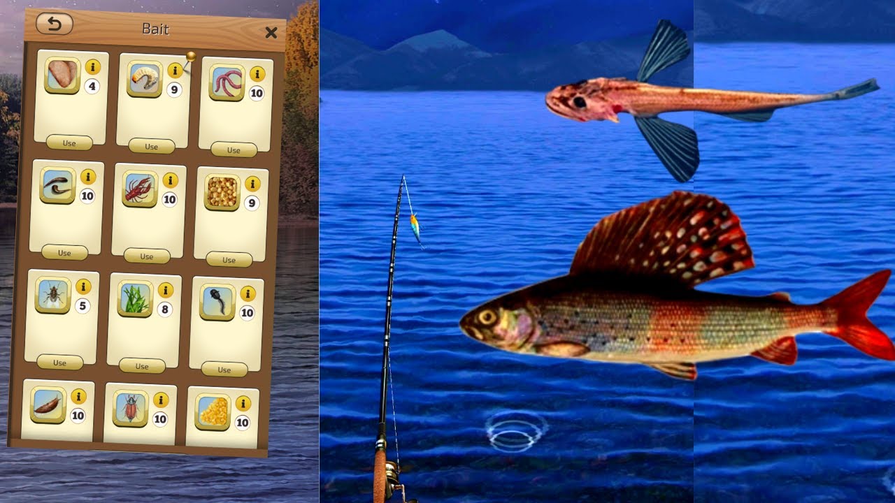 Nueva actualización